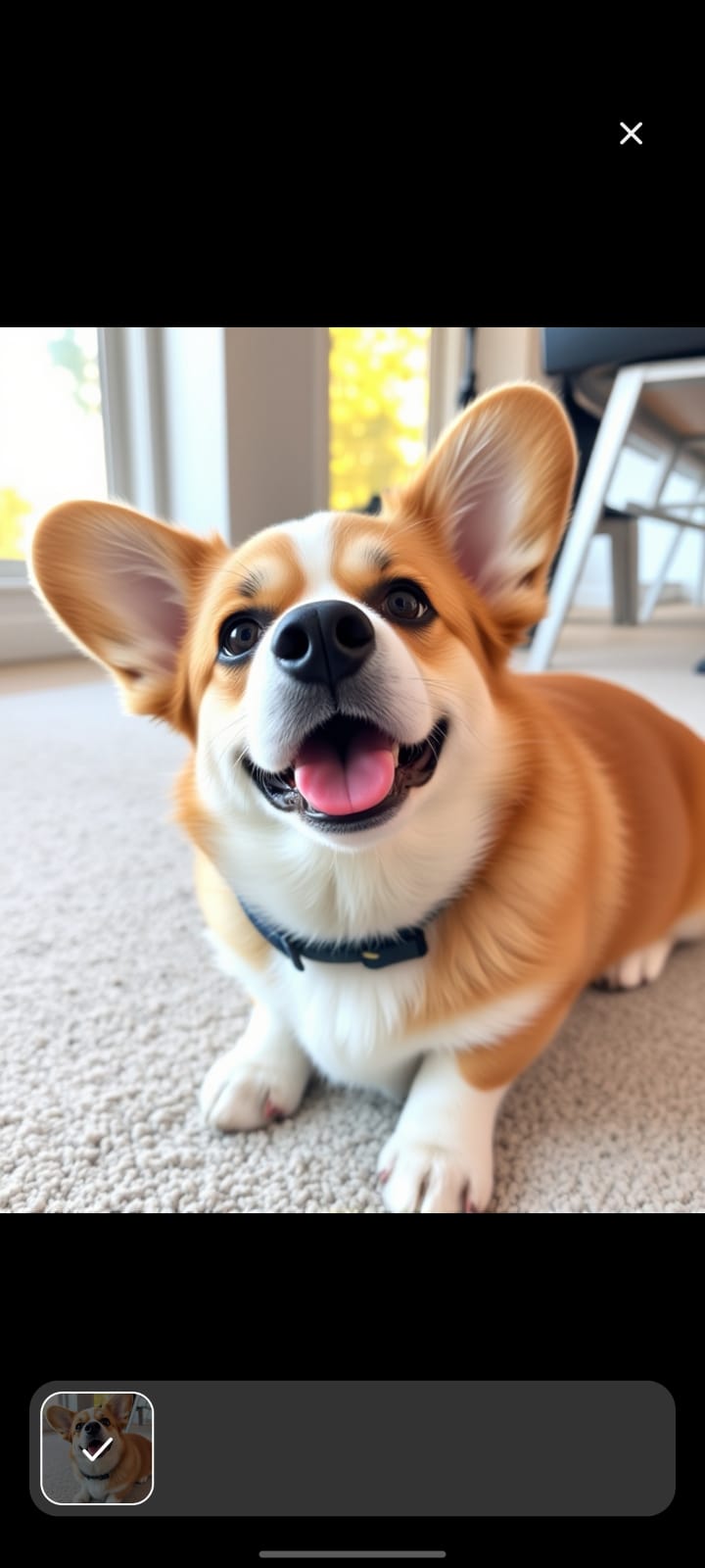 Cute Corgi Dog Names: Classic Choices for Your Pup